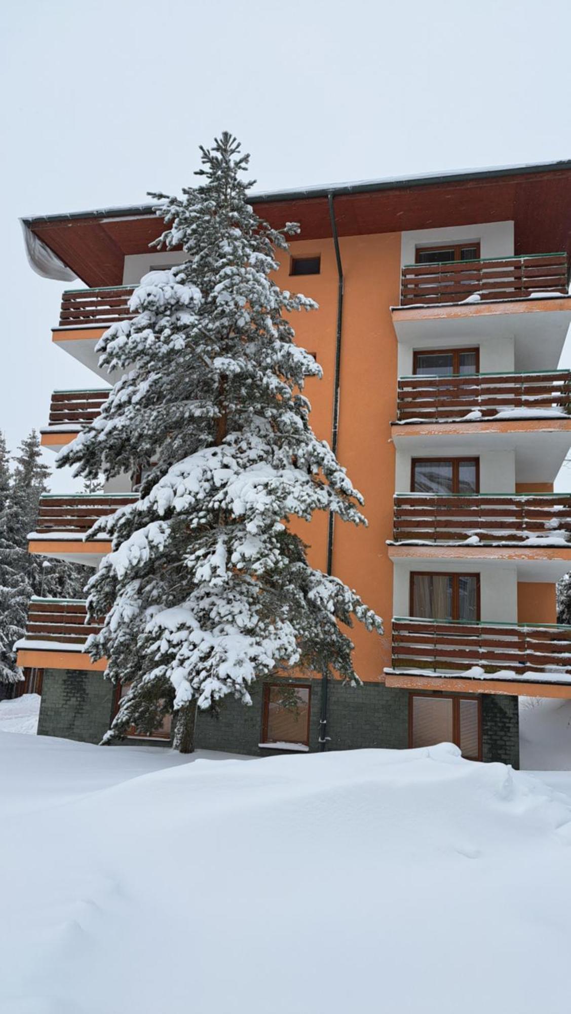 Apartman Palenica II Tatranska Strba Ngoại thất bức ảnh